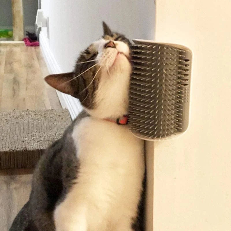 Cat Self Grooming Cling