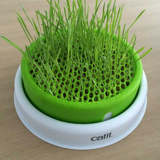 Catit - Senses Grass Garden Kit