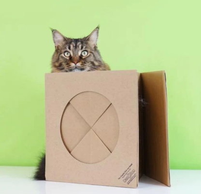 Dezi and Roo Hide and Sneak Cat Toy Tunnel