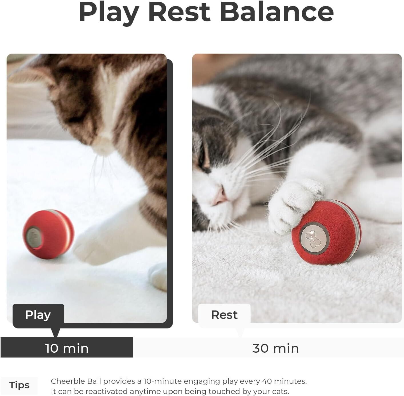 Cheerble Ball Electronic Cat Toy