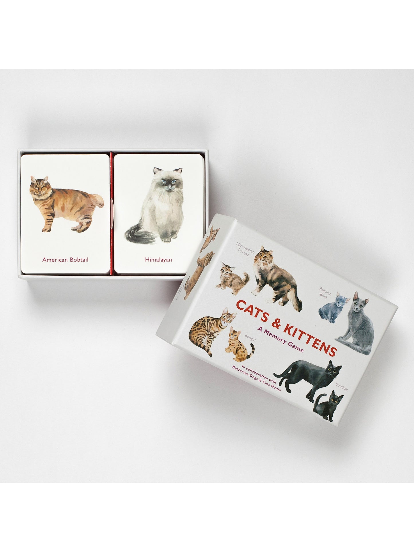Cats and Kittens: A Memory Game