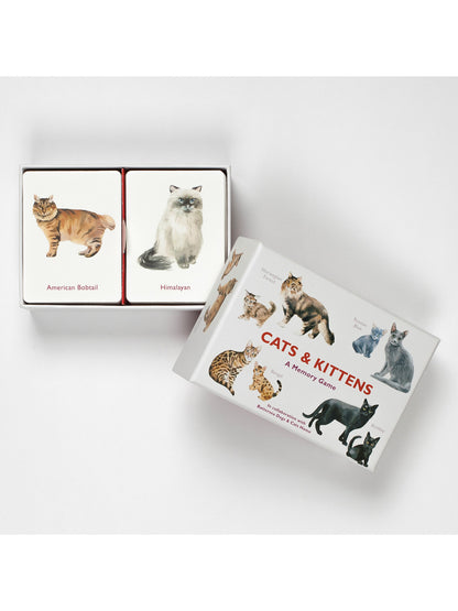 Cats and Kittens: A Memory Game