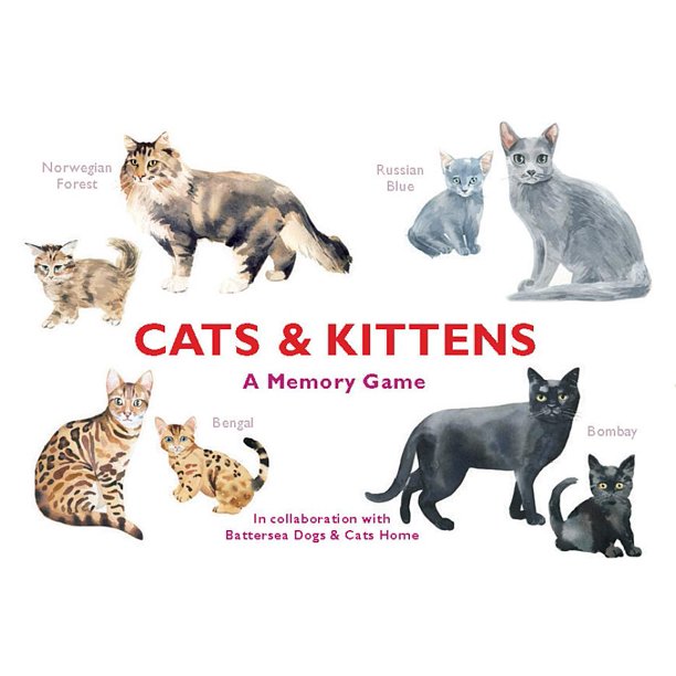 Cats and Kittens: A Memory Game